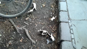 La vita come un film Nouvelle Vague - scarpe rotte a prenzlauer berg berlino