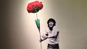 pasolini roma al martin gropius bau berlino - ninetto d'avoli che tiene in mano un fiore rosso gigante